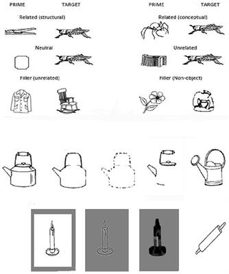 Intermediate, Wholistic Shape Representation in Object Recognition: A Pre-Attentive Stage of Processing?